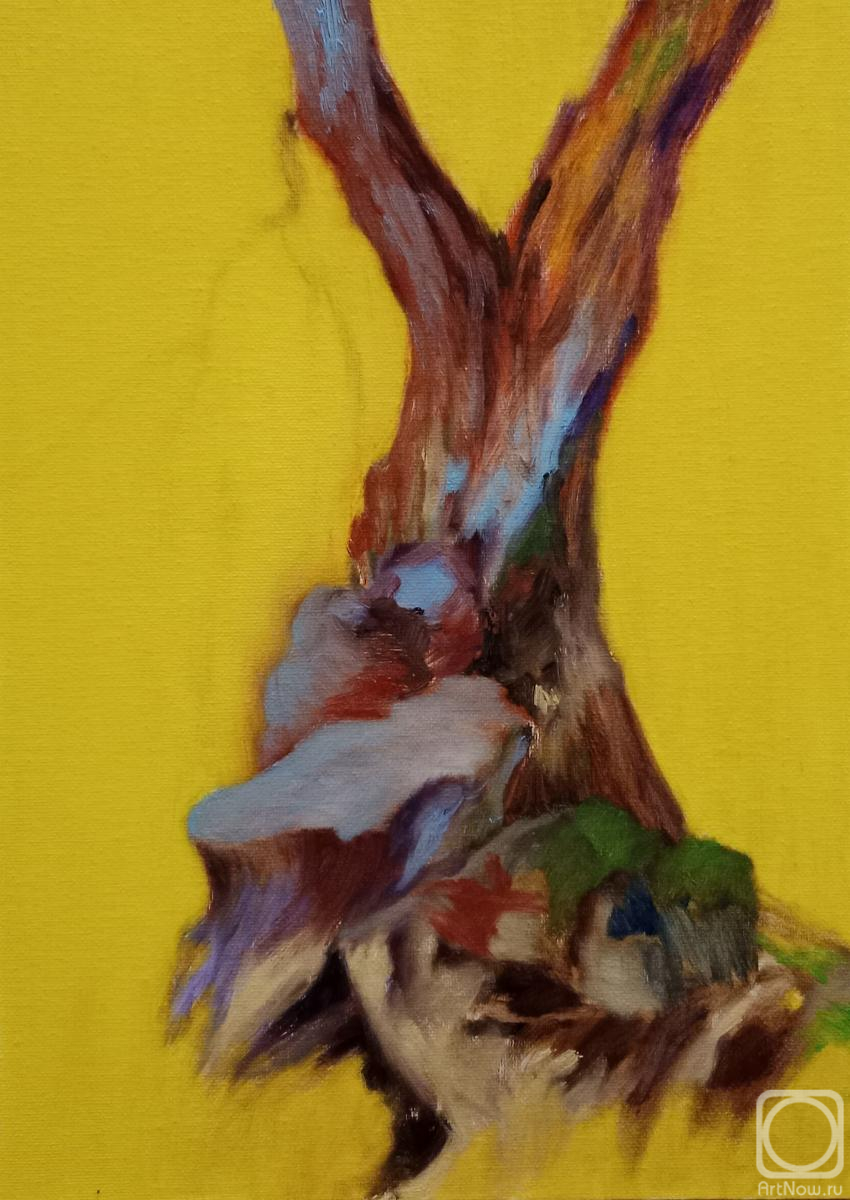 �������. ��������� �������. ������� ������� #1