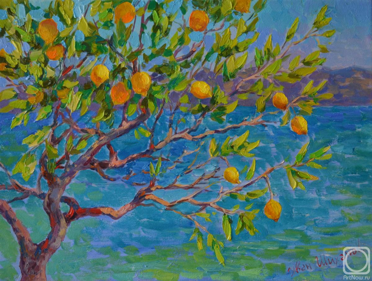 ������� ������ �� ������. ������� ����. �������� ������