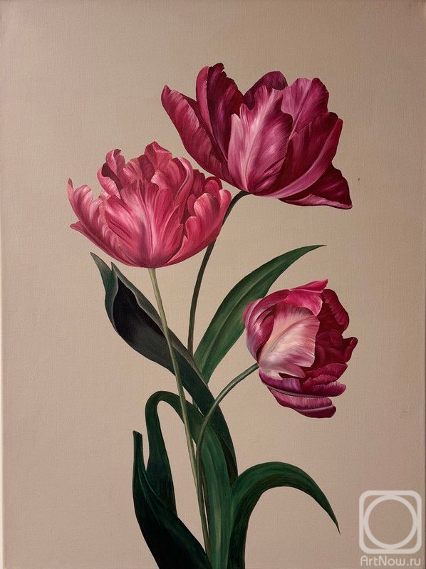 ������� ������ �� ������. ������� �������. ���������� ��������