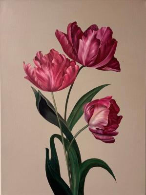 ������� ����������� ���������