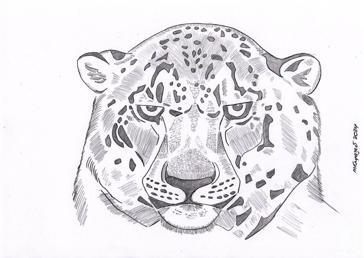 �������. ������ ��������. ������� ����