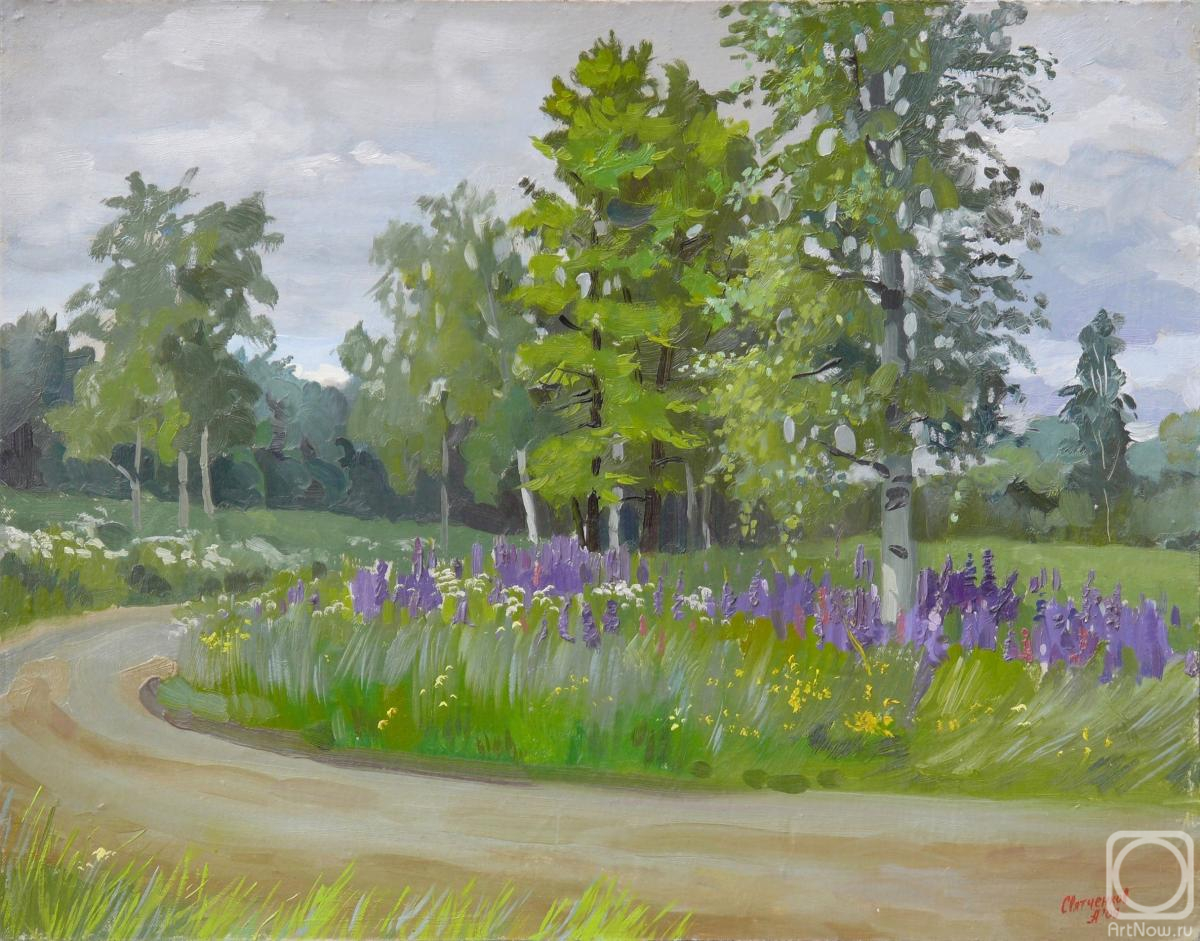 �������. ���������� �����. ������. ����