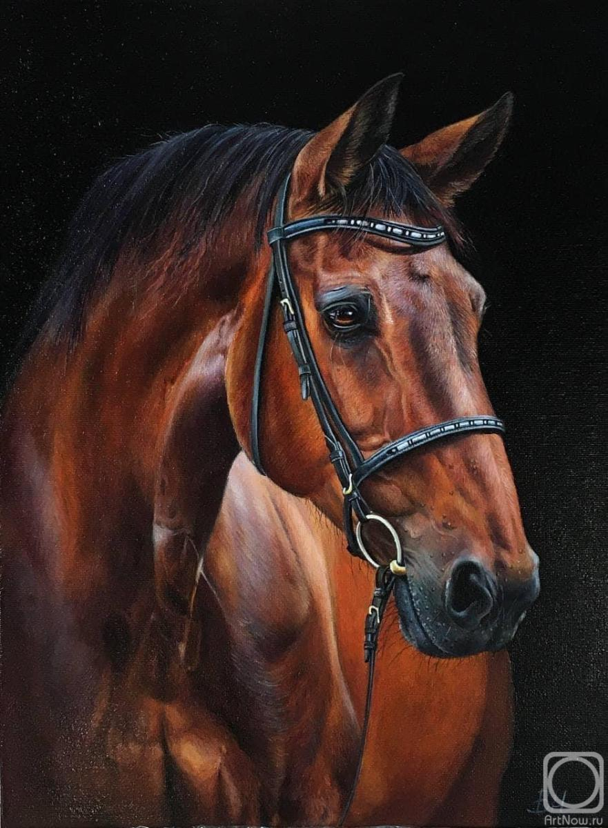 ������� ������ �� ������. ��������� �������. ������