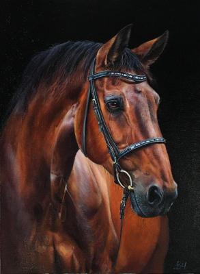 ������. ��������� �������