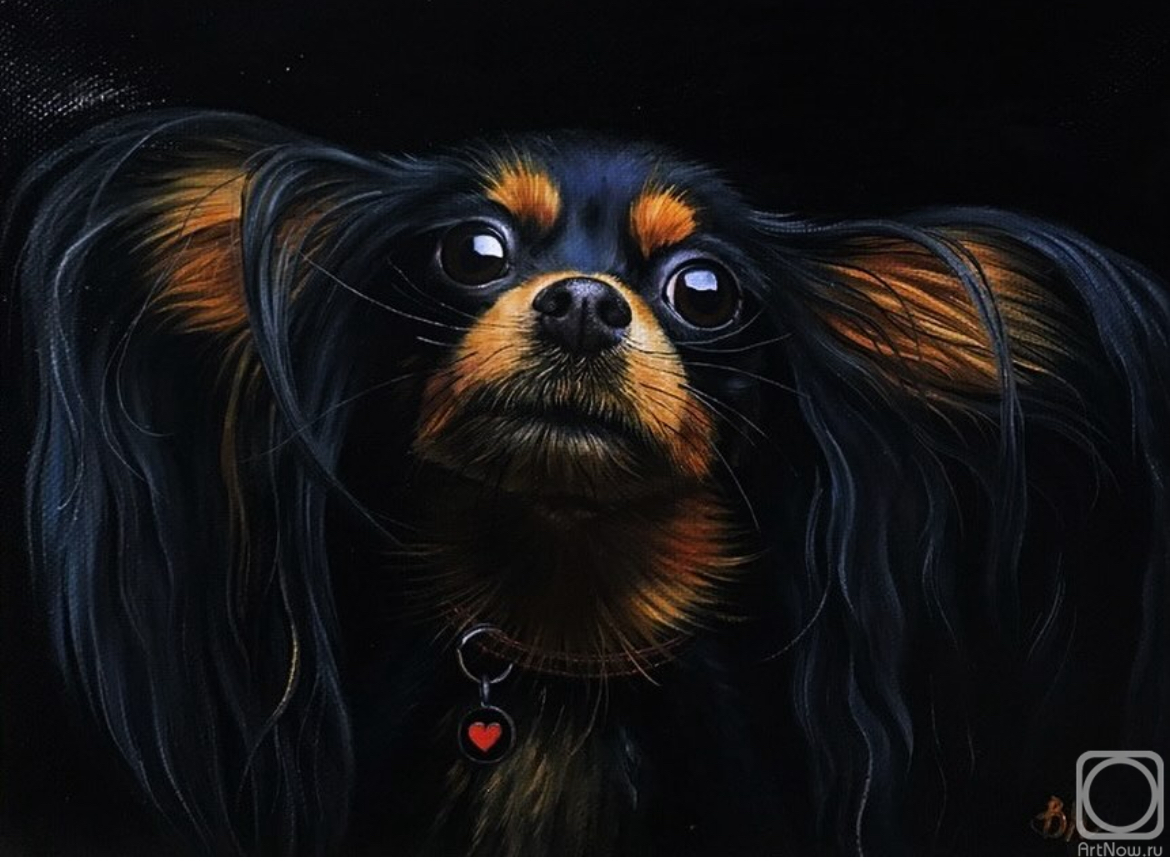 ������� ������ �� ������. ��������� �������. ������� �����