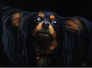 ������� �����. ��������� �������