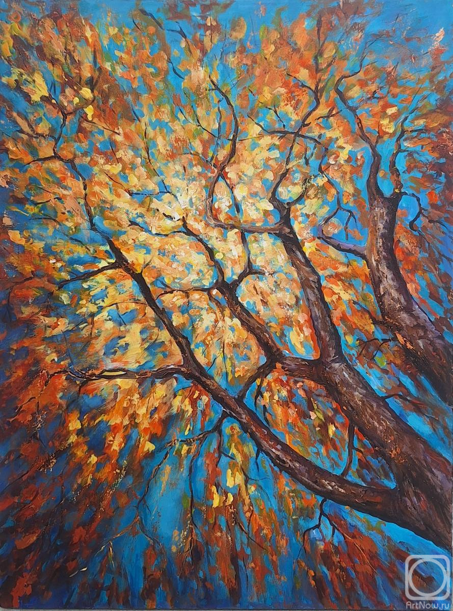 �������. �������� �������. ������ �����