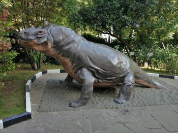 ������������. ���������� �����