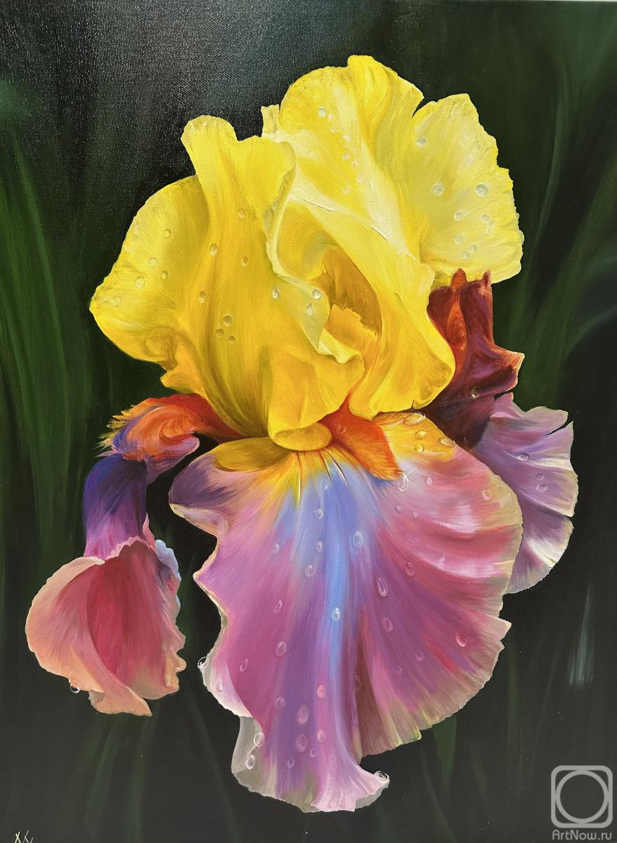 ������� ������ �� ������. �������� �������. ������-����������