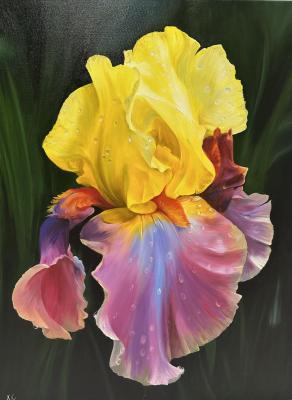 ������� �������-����������