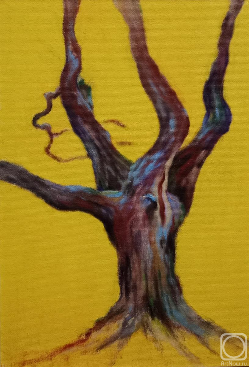 �������. ��������� �������. ������� ������� #2