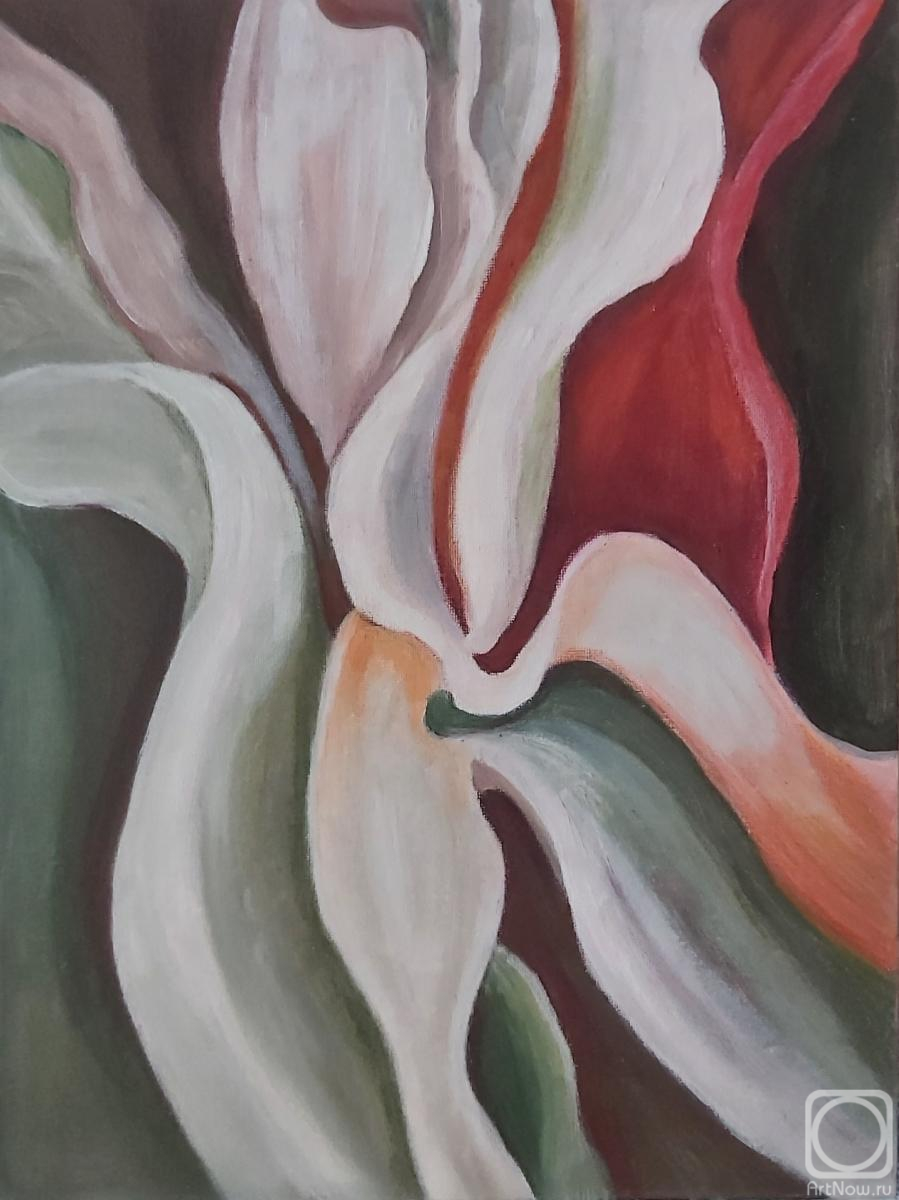 �������. ����������� ���������. ������ �����������