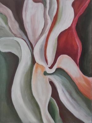 ������ �����������. ����������� ���������