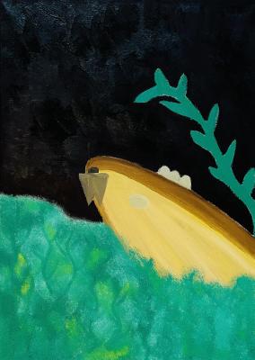 Illusion (Motorboat). Tyrtyshnikov Daniel