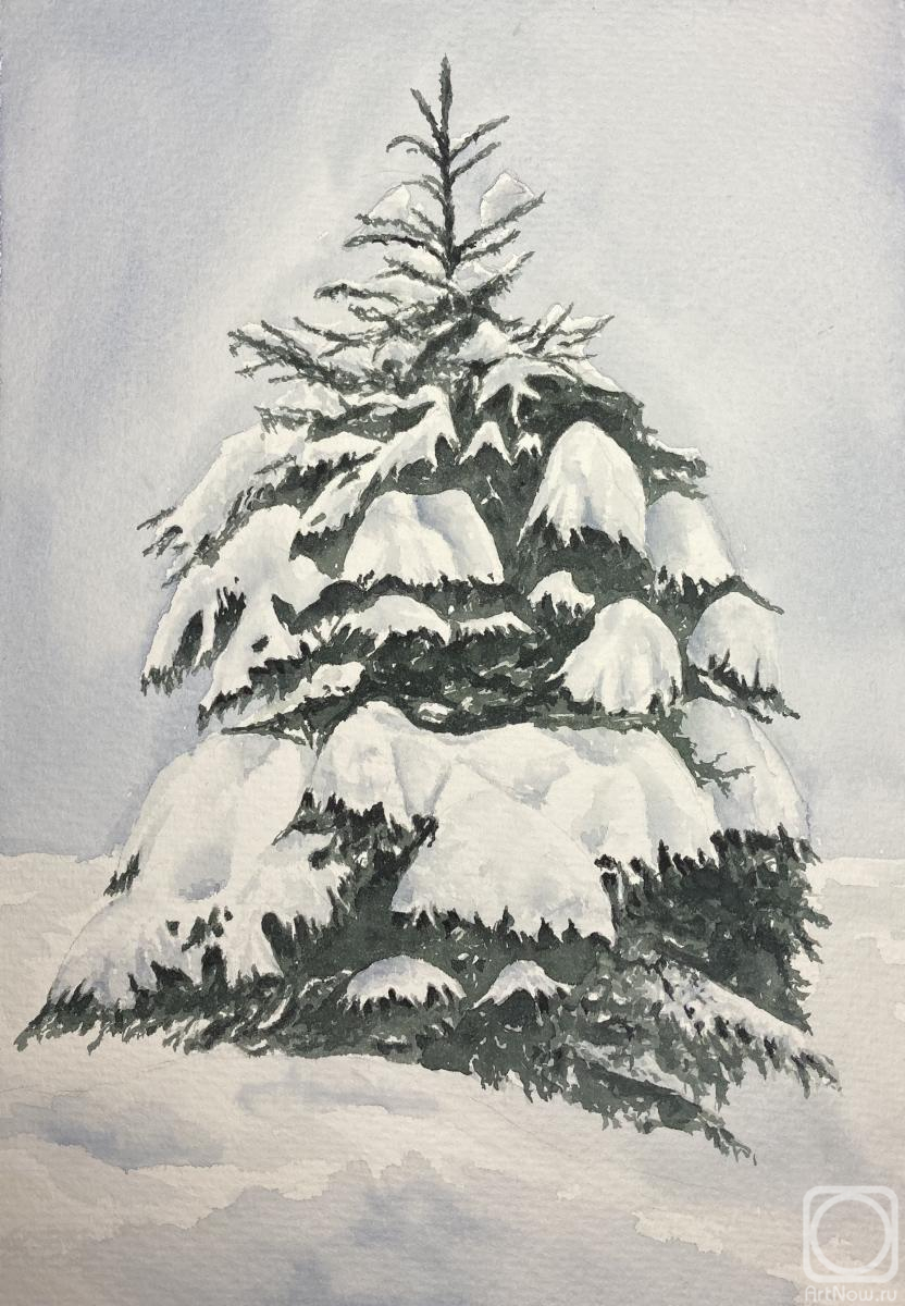 �������. �������� (���������) ���������. ����� ���������