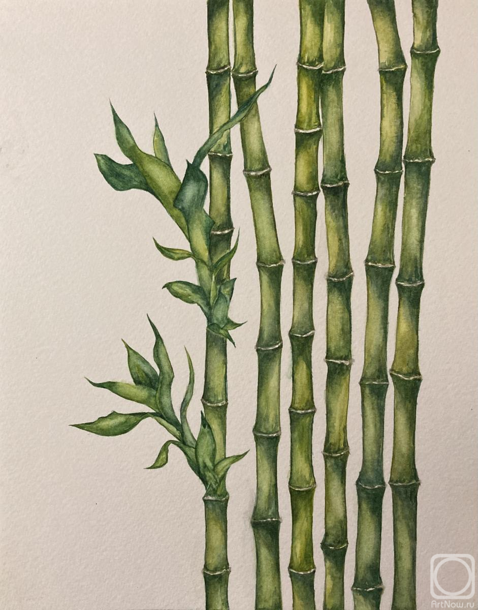 �������. �������� (���������) ���������. ������