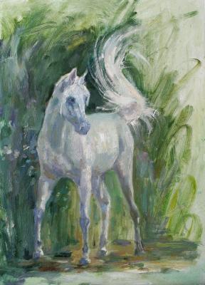 ������ ����� ������������. ����� ������