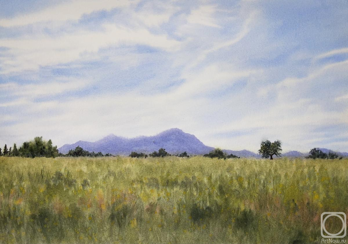 �������. �������� (���������) ���������. �������������