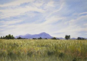 �������������. �������� (���������) ���������