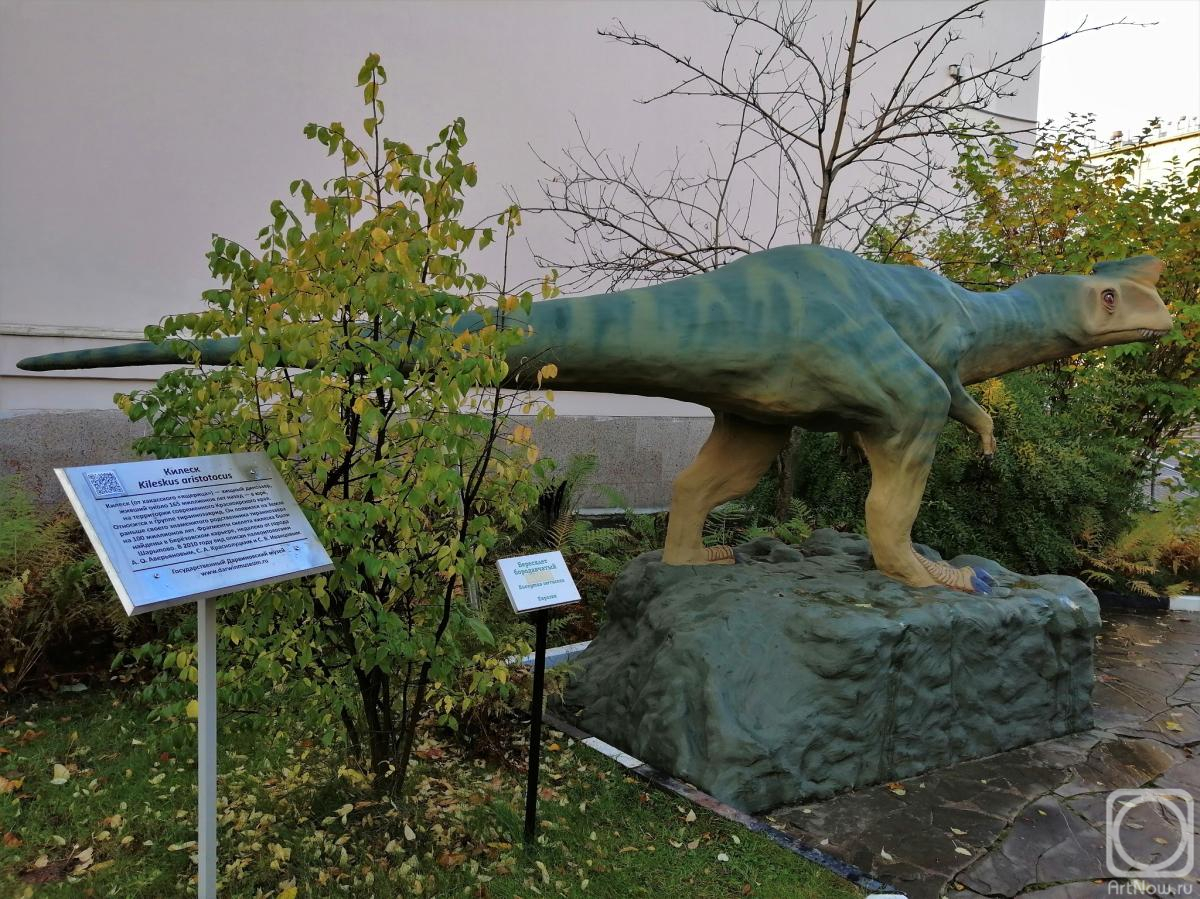 ���������� �����. ������