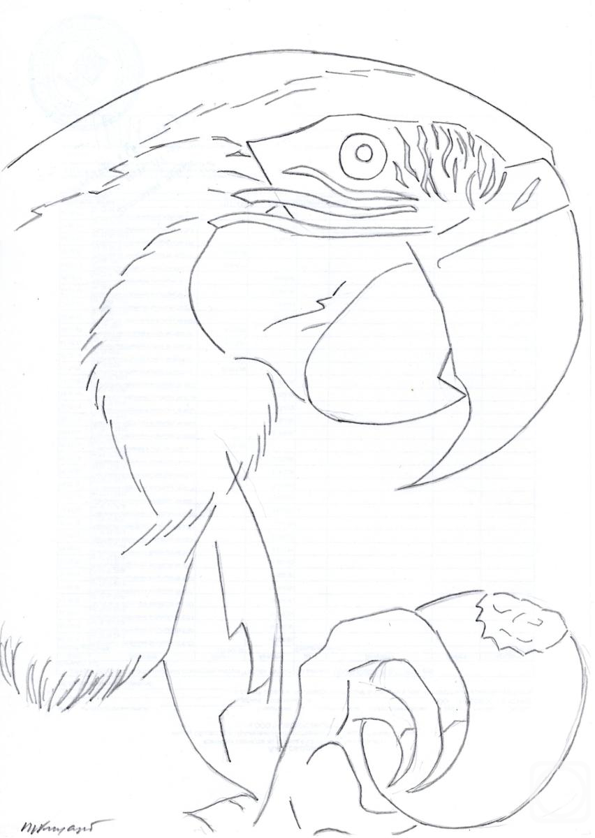 �������. ������ ��������. ���