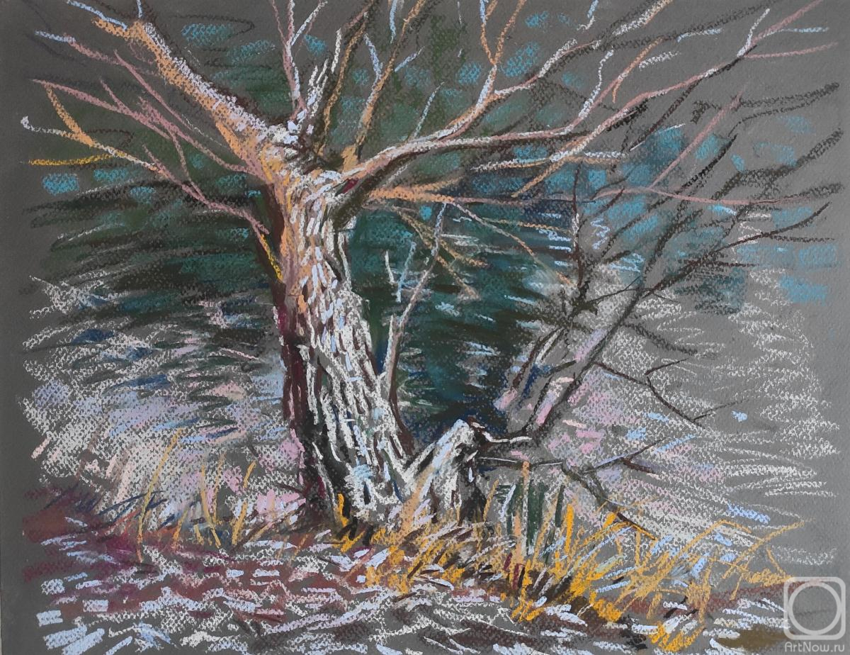 Yakovleva Mariya. Untitled