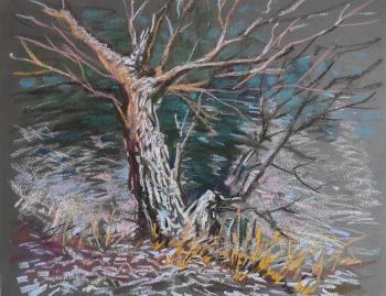 ������� ������� ����