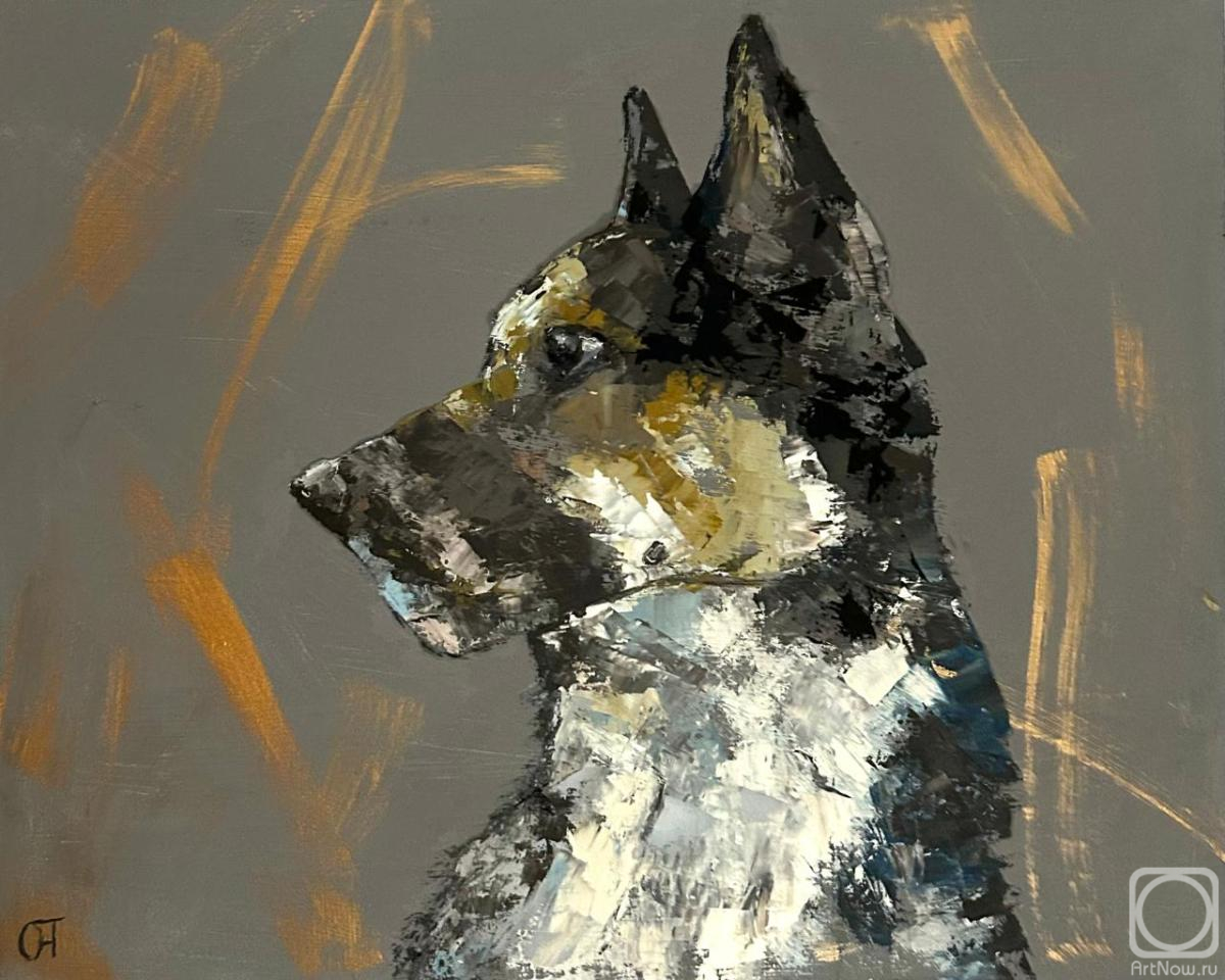 ������� ������ �� ������. ���������� ����. ���� ��������