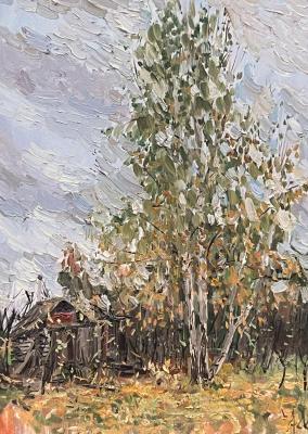 Young birch. Cheglyakov Andrey