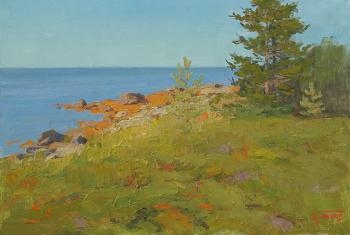 Shores of Solovki. Panov Igor
