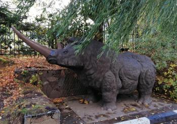 ���������� �������