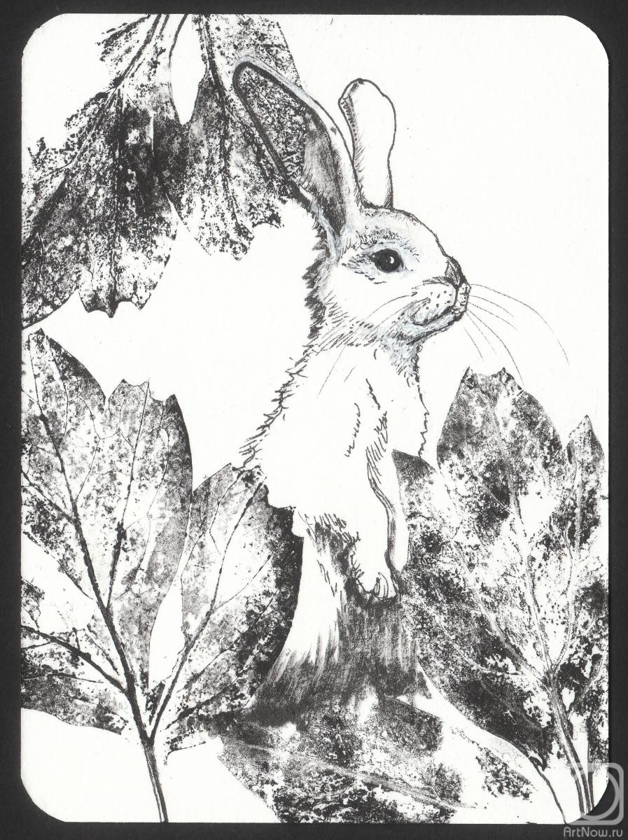 �������. ���������� ����. ������