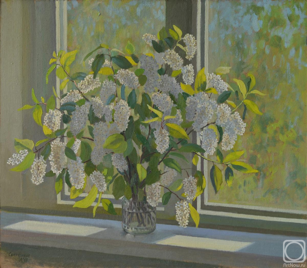 Svyatchenkov Anton. Bird cherry