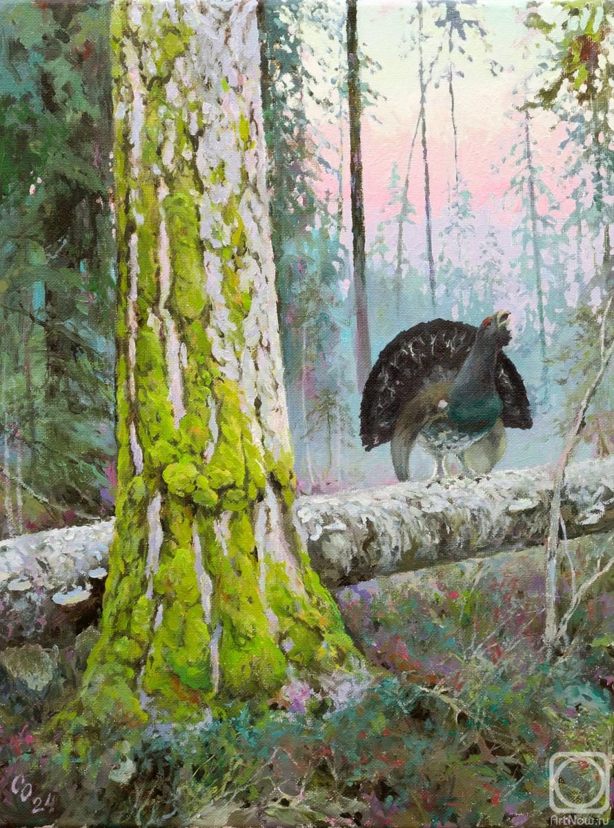 ������� ������ �� ������. ������� ����. ���������� ����