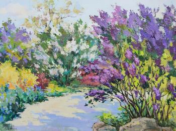 ������� ������ �������