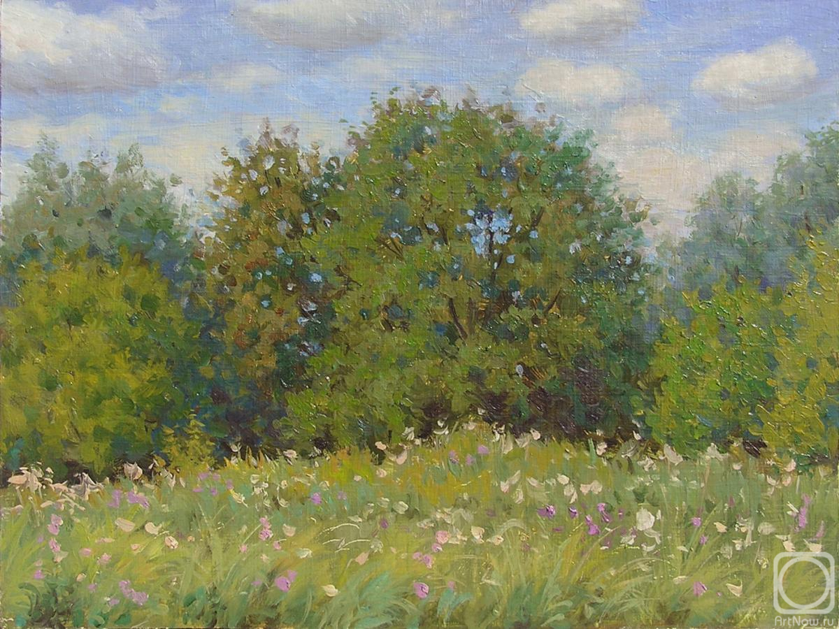 Kosterin Sergey. Untitled