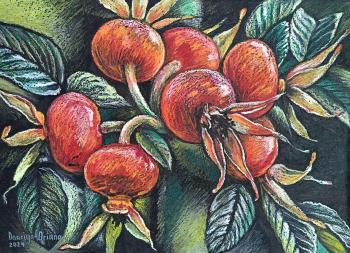 ������ ��������. �������� �����