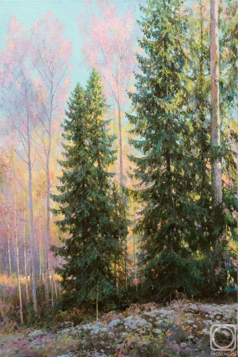 ������� ������ �� ������. ������� ����. ������ ��������