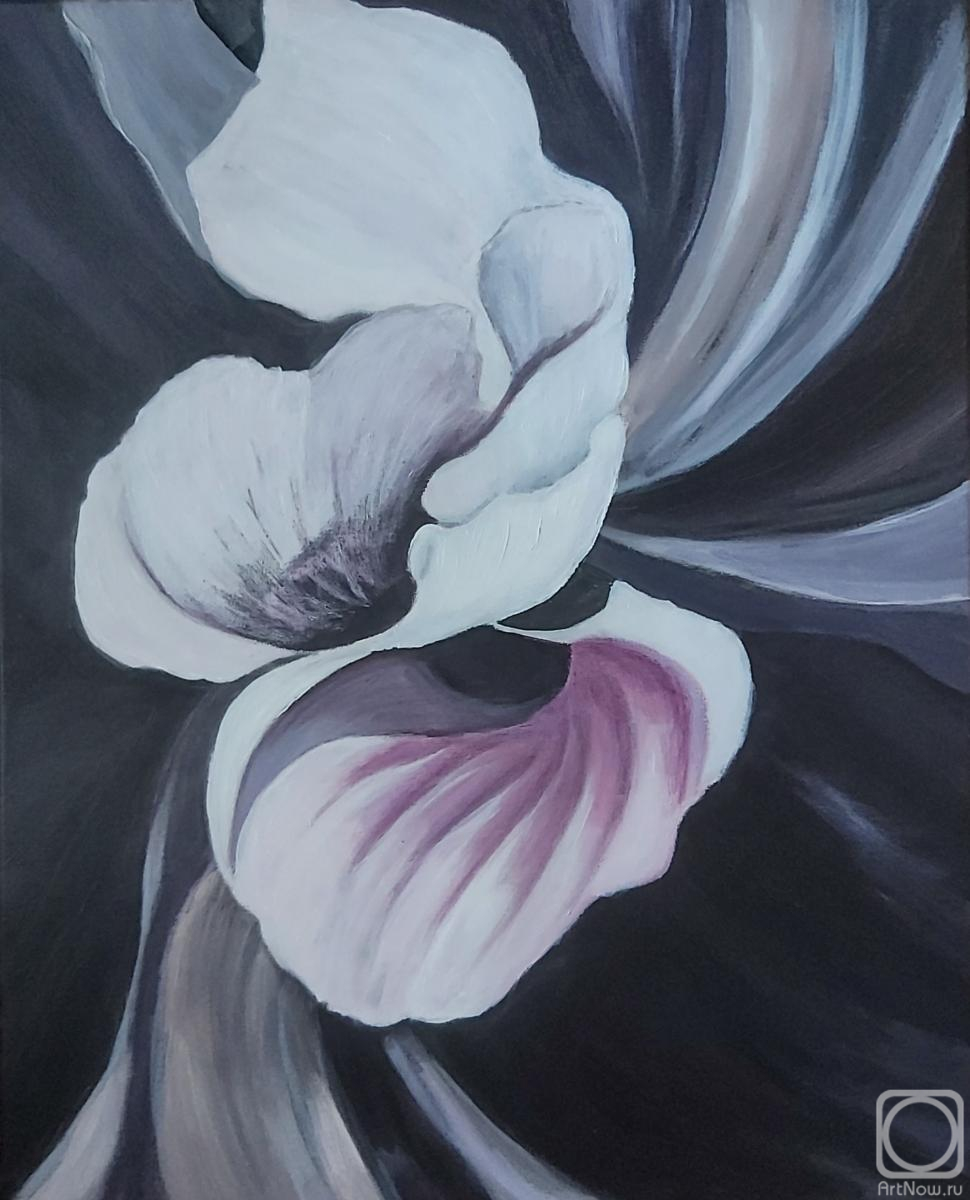 �������. ����������� ���������. ������� ����� �� ������