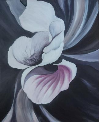 ������� ����� �� ������. ����������� ���������