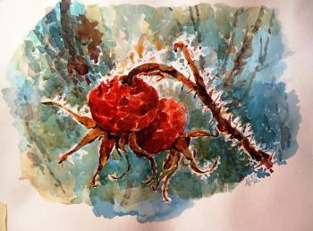 ������� ����. ��������� �������