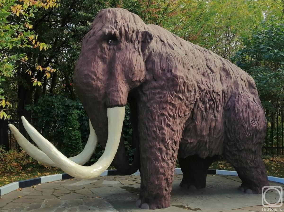 ���������� �����. ���������� ������