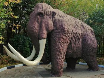 ���������� ������