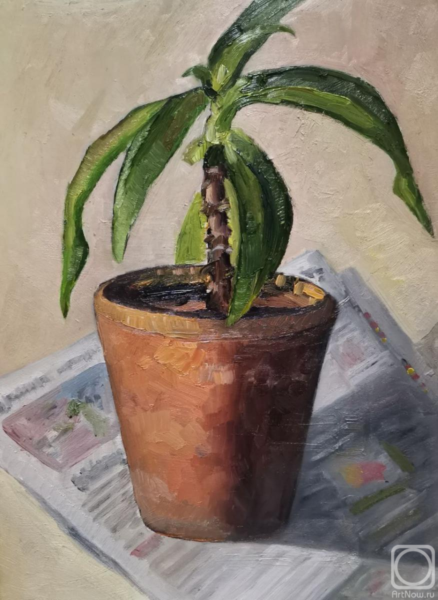 ������� ������ �� ������. ��������� �����. �������