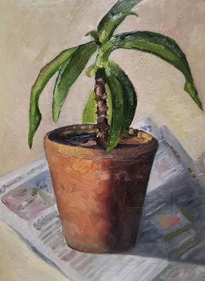 �������. ��������� �����