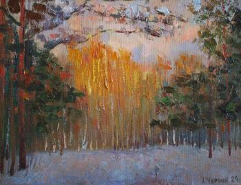 The March evening sun