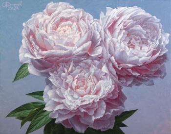 Untitled. Filippov Aleksandr