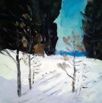 January in the forest (Forest Clearing). Knecht Aleksander