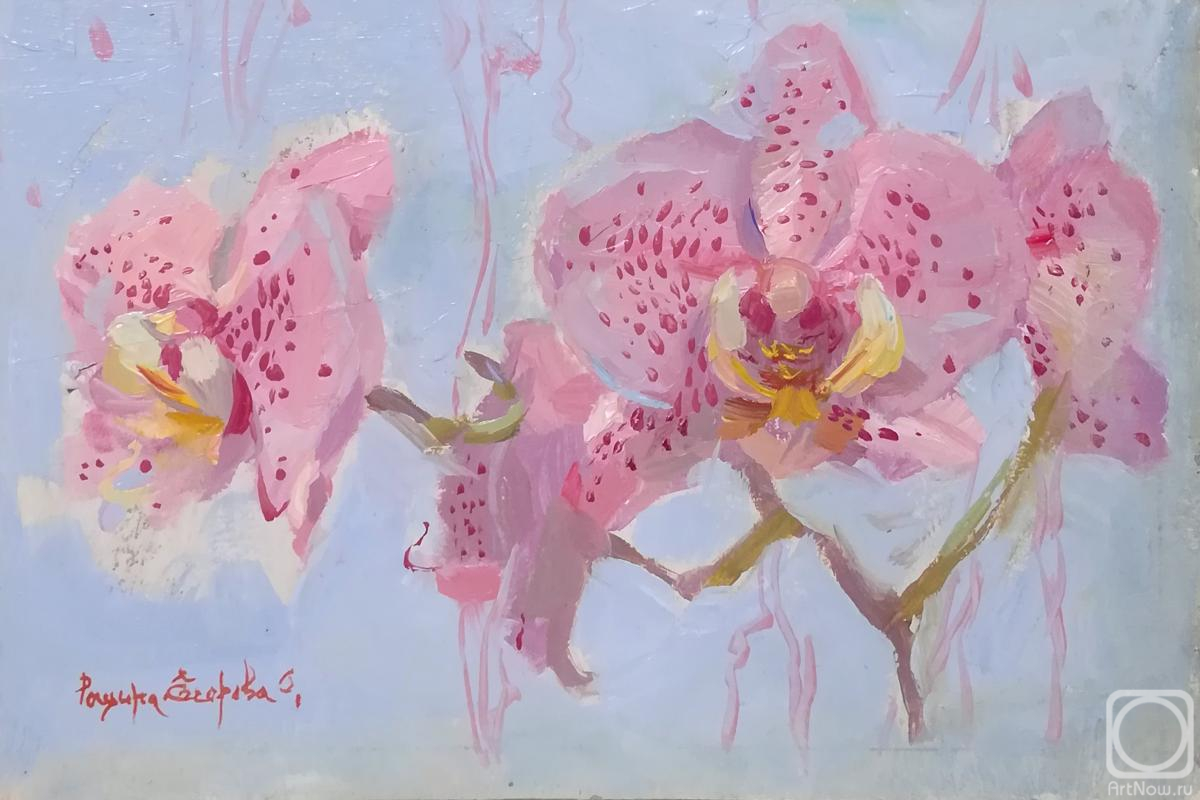 �������. ������-������� ������. �������