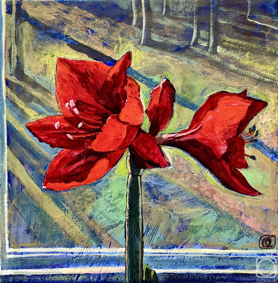 ������� ������ �� ������. ������� �����. ������� ������